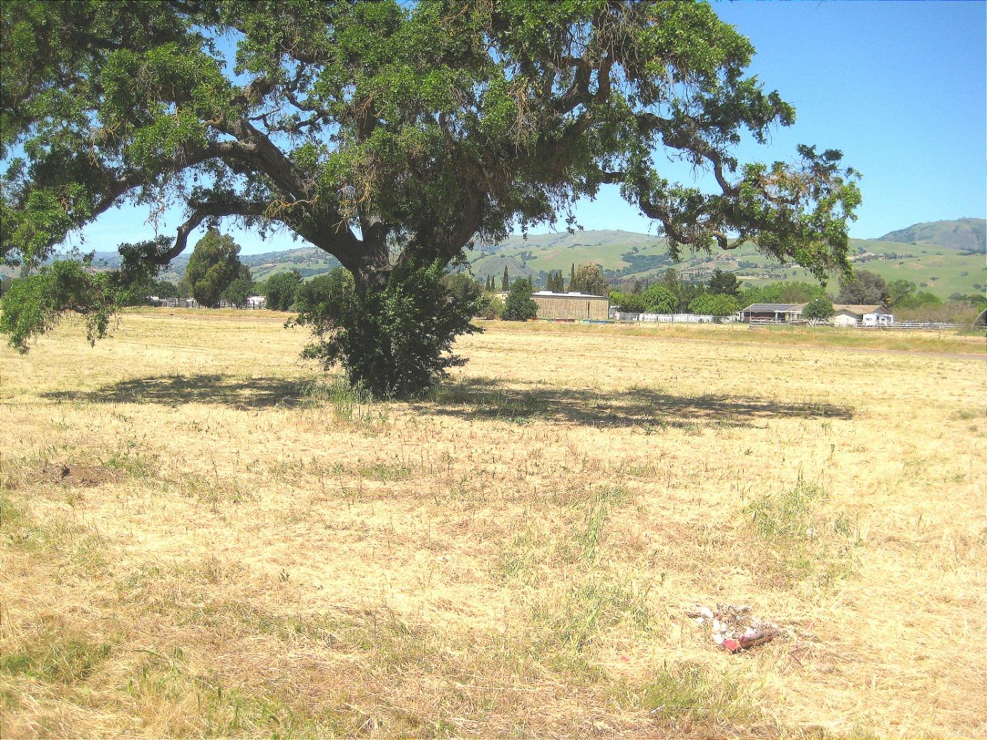 13640 Sycamore Avenue, San Martin, California 95046, ,Land,For Sale,13640 Sycamore Avenue,ML81947818