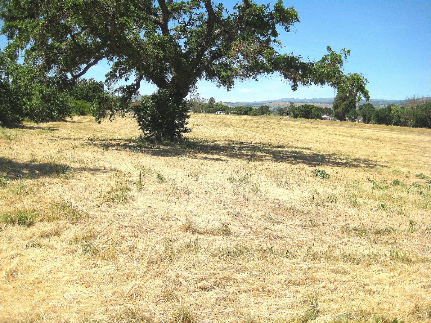 13640 Sycamore Avenue, San Martin, California 95046, ,Land,For Sale,13640 Sycamore Avenue,ML81947818