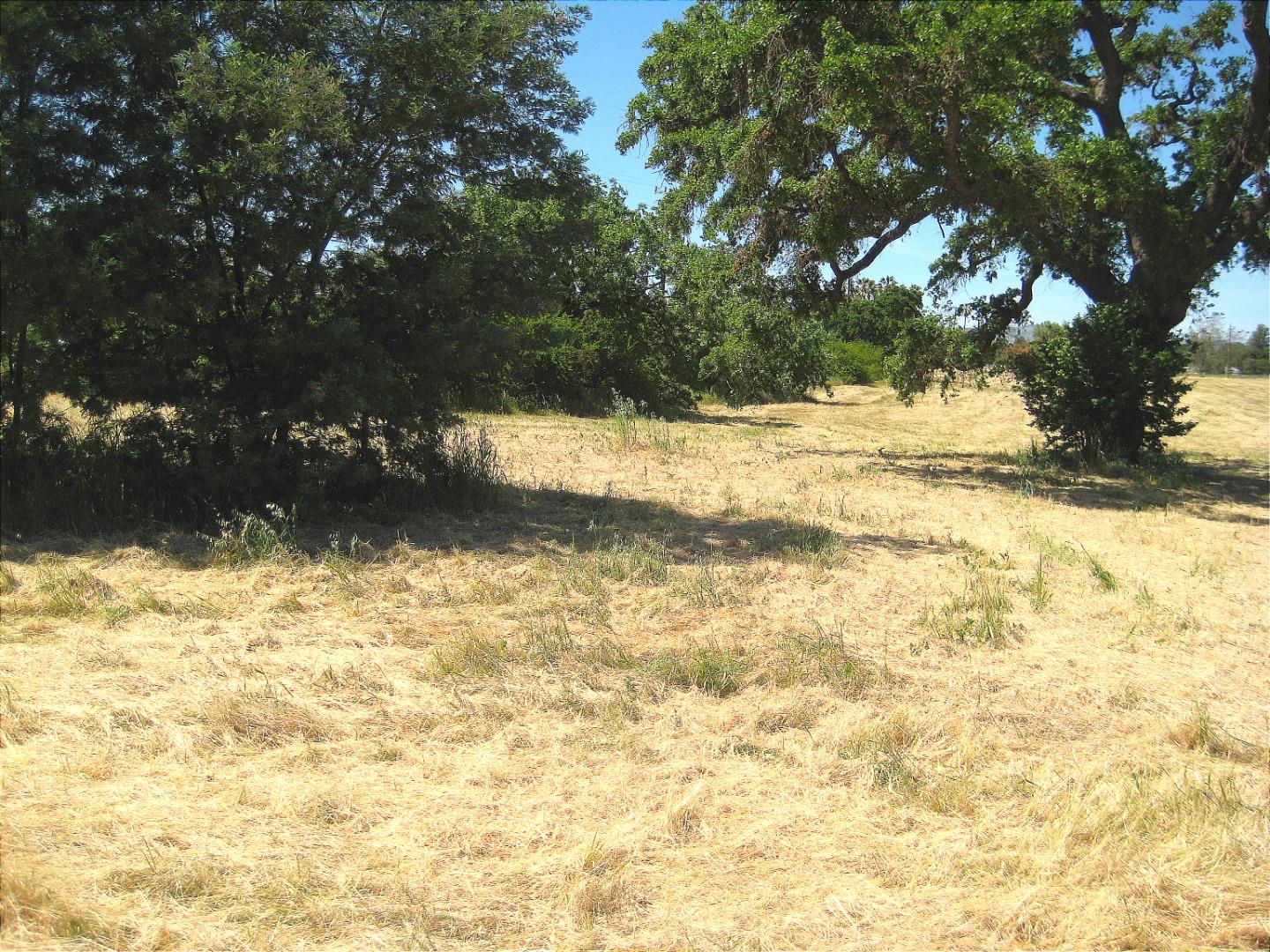 13640 Sycamore Avenue, San Martin, California 95046, ,Land,For Sale,13640 Sycamore Avenue,ML81947818