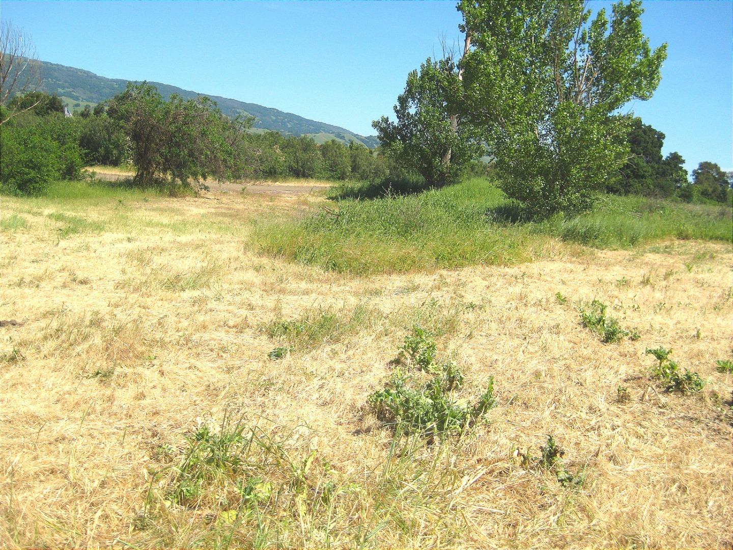 13640 Sycamore Avenue, San Martin, California 95046, ,Land,For Sale,13640 Sycamore Avenue,ML81947818