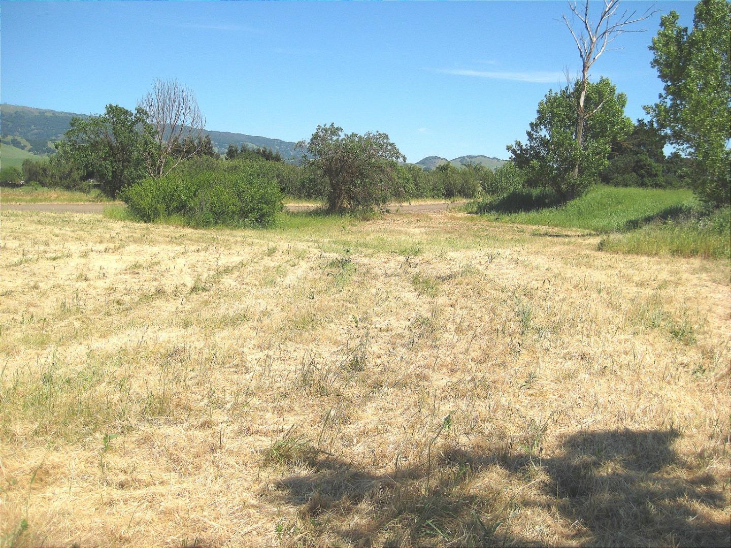 13640 Sycamore Avenue, San Martin, California 95046, ,Land,For Sale,13640 Sycamore Avenue,ML81947818