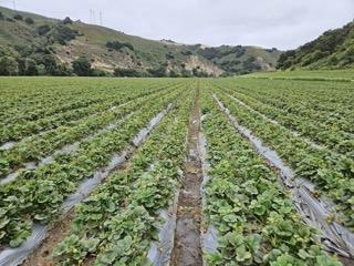 Photo of 13650 Murphy Hill Rd in Aromas, CA