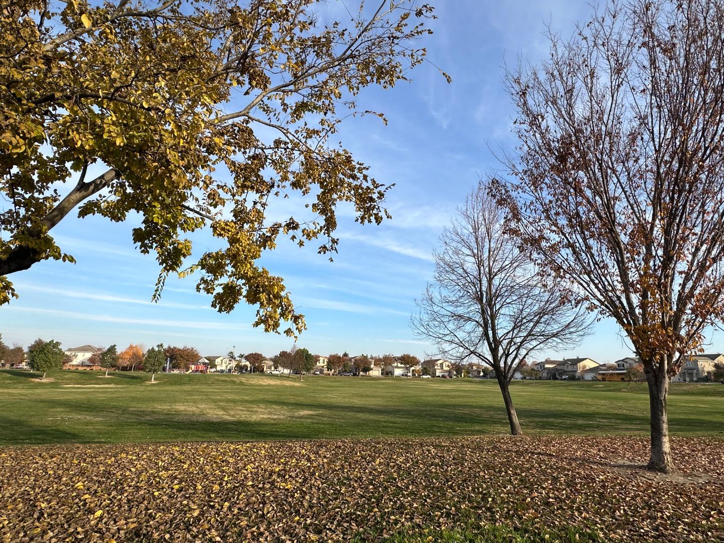 Front Image Thumbnail for ML81949212