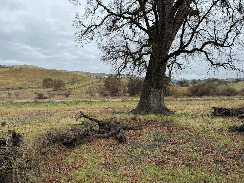 Detail Gallery Image 23 of 23 For 1 Acre Panoche Rd, Paicines,  CA 95043 - – Beds | – Baths