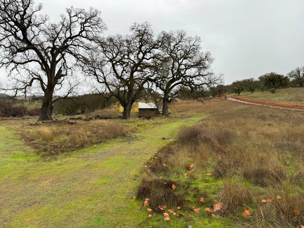 Detail Gallery Image 4 of 23 For 1 Acre Panoche Rd, Paicines,  CA 95043 - – Beds | – Baths