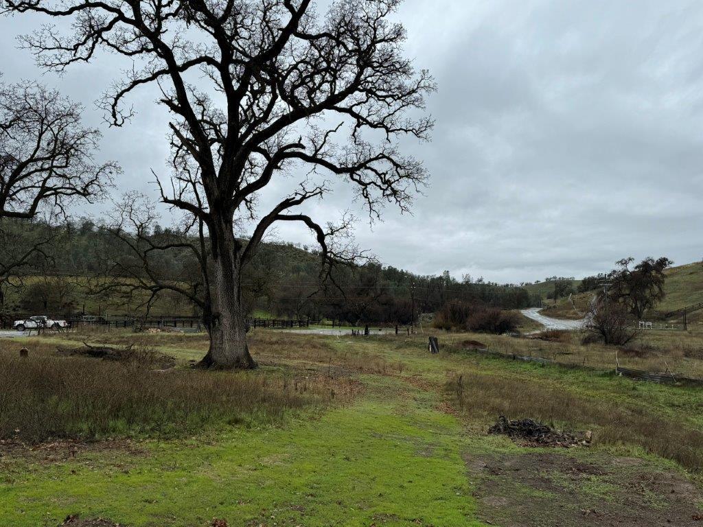 Detail Gallery Image 8 of 23 For 1 Acre Panoche Rd, Paicines,  CA 95043 - – Beds | – Baths