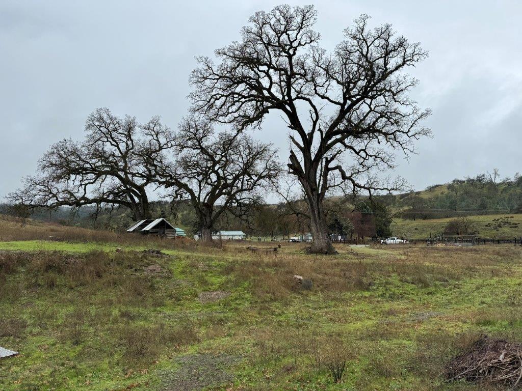 Detail Gallery Image 9 of 23 For 1 Acre Panoche Rd, Paicines,  CA 95043 - – Beds | – Baths