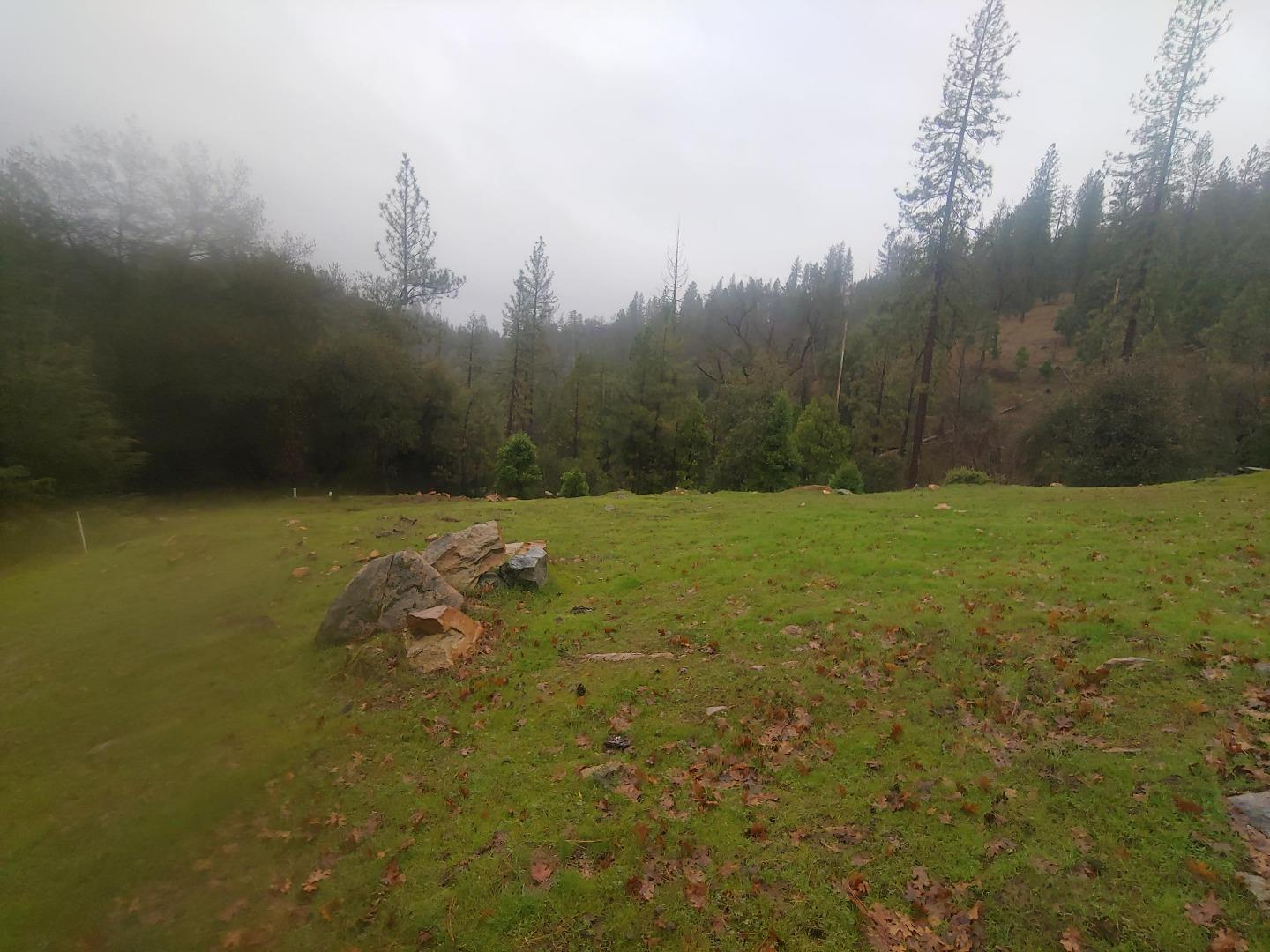 Detail Gallery Image 8 of 10 For 13003 Wells Fargo Dr, Groveland,  CA 95321 - – Beds | – Baths