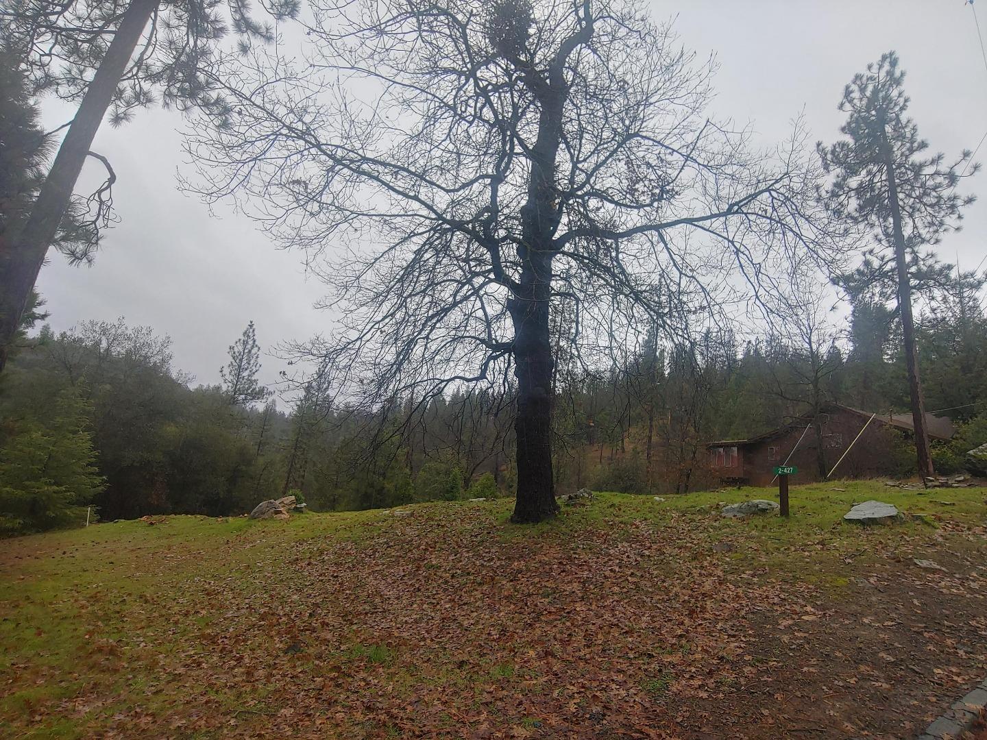 Detail Gallery Image 9 of 10 For 13003 Wells Fargo Dr, Groveland,  CA 95321 - – Beds | – Baths