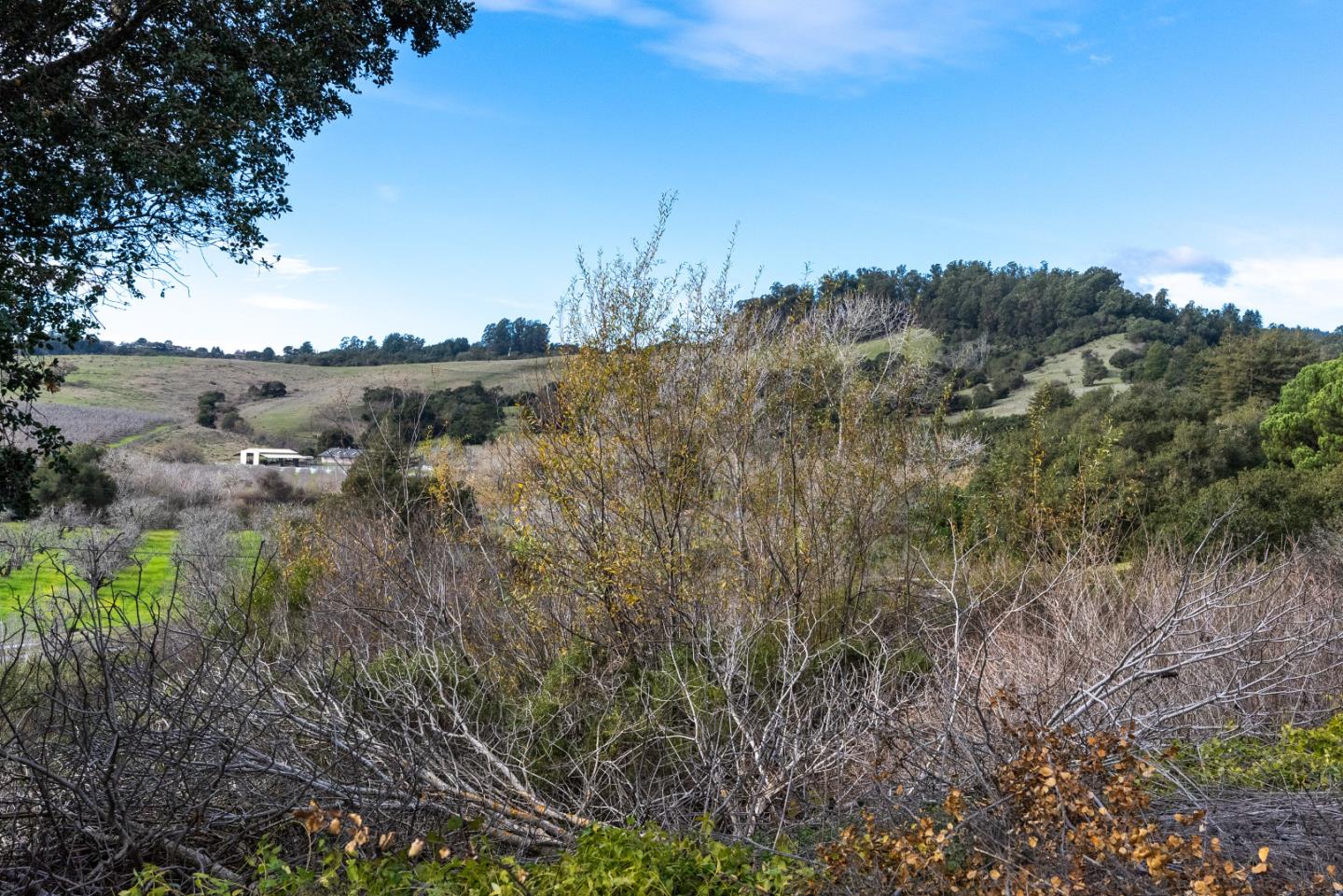 Detail Gallery Image 27 of 33 For 1536 Green Valley Rd, Watsonville,  CA 95076 - 3 Beds | 2 Baths