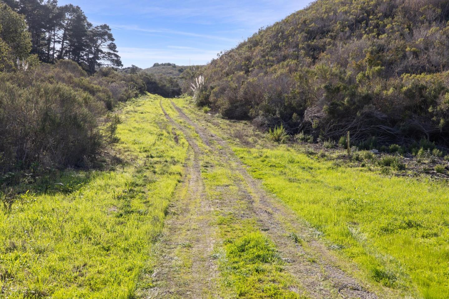8282 Monterra Ranch (Lot 44), Monterey, California 93940, ,Land,For Sale,8282 Monterra Ranch (Lot 44),ML81953977