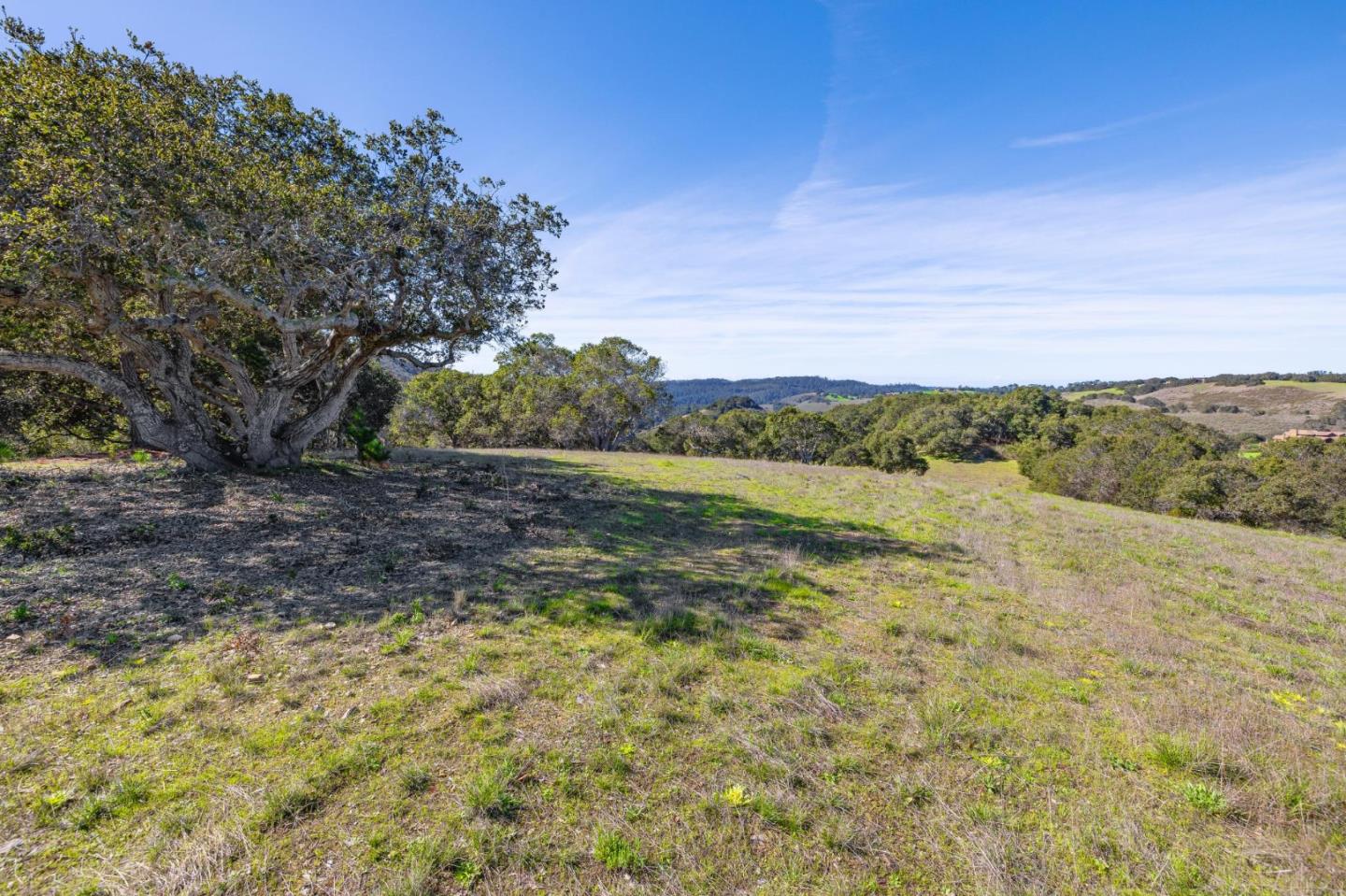 Detail Gallery Image 11 of 33 For 8425 Alta Tierra (Lot 66), Carmel,  CA 93923 - – Beds | – Baths