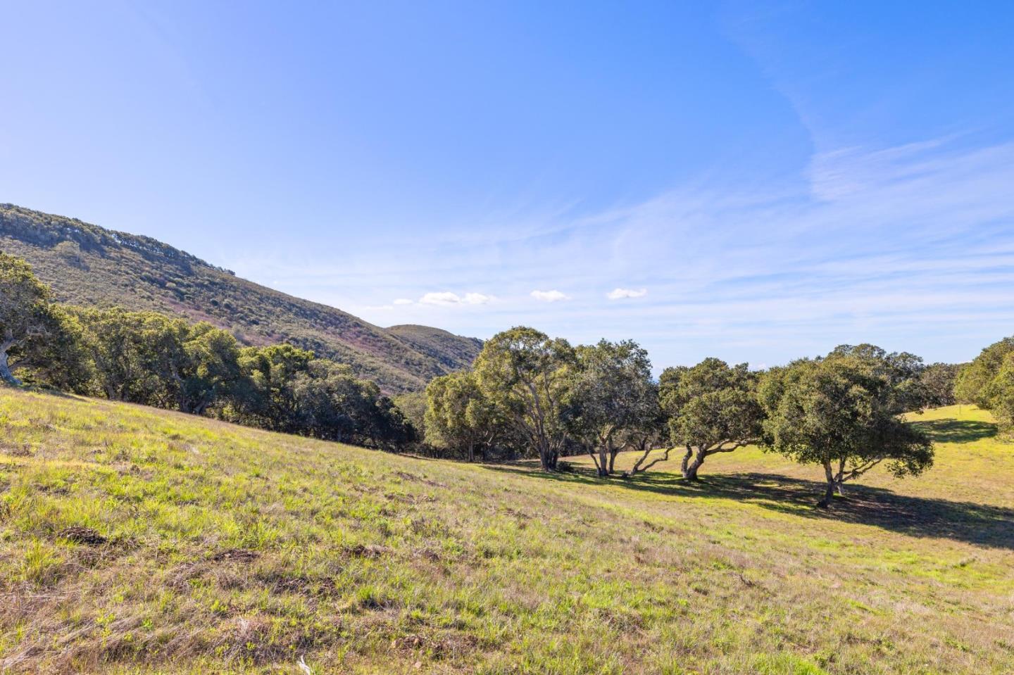Detail Gallery Image 16 of 33 For 8425 Alta Tierra (Lot 66), Carmel,  CA 93923 - – Beds | – Baths