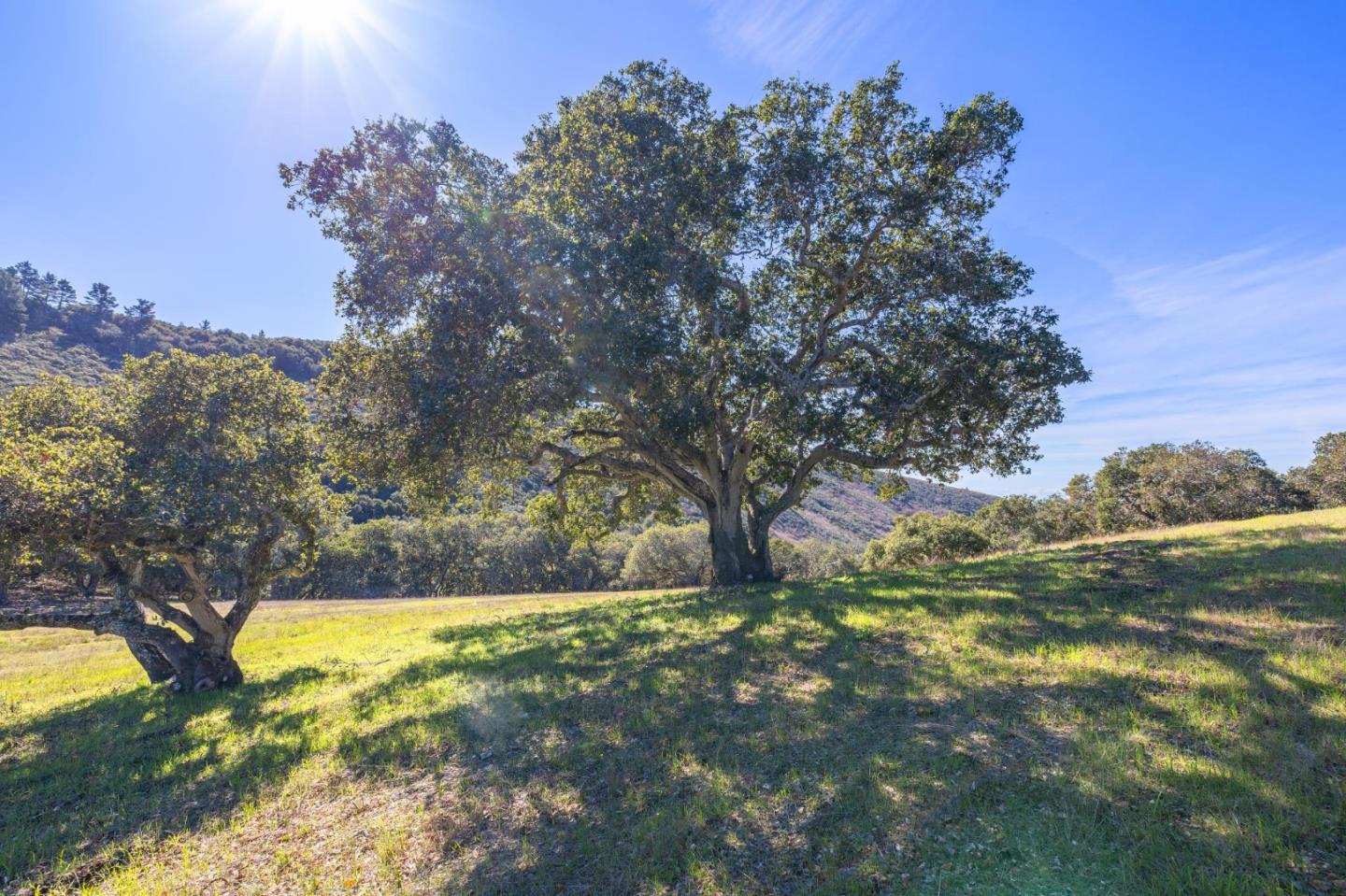 Detail Gallery Image 17 of 33 For 8425 Alta Tierra (Lot 66), Carmel,  CA 93923 - – Beds | – Baths