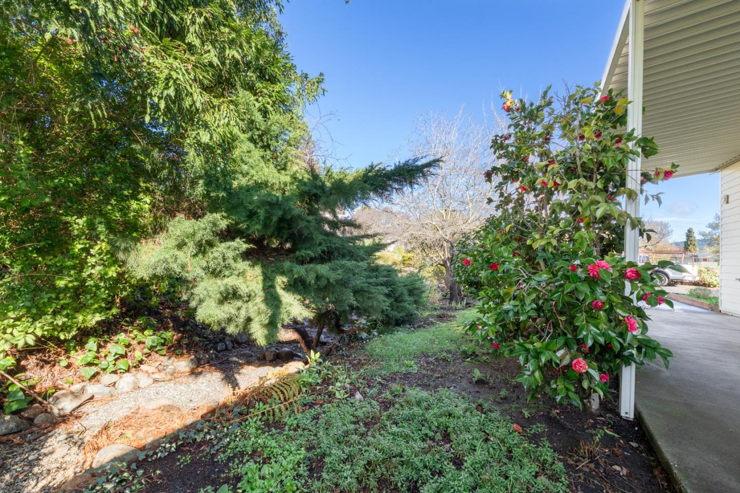 Detail Gallery Image 39 of 48 For 225 Mount Hermon Rd #125,  Scotts Valley,  CA 95066 - 3 Beds | 2 Baths