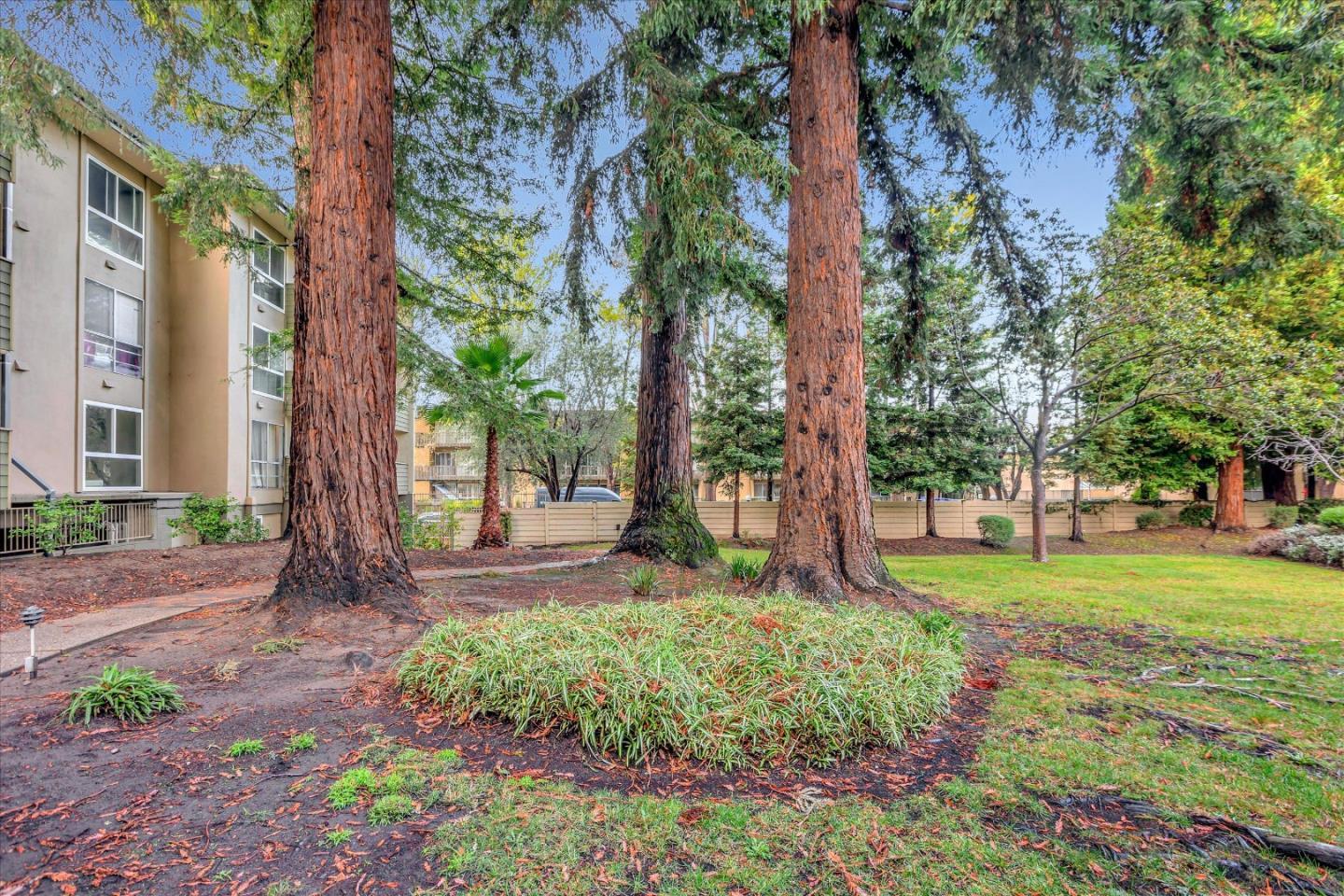 Detail Gallery Image 42 of 48 For 1031 Crestview Dr #118,  Mountain View,  CA 94040 - 1 Beds | 1 Baths