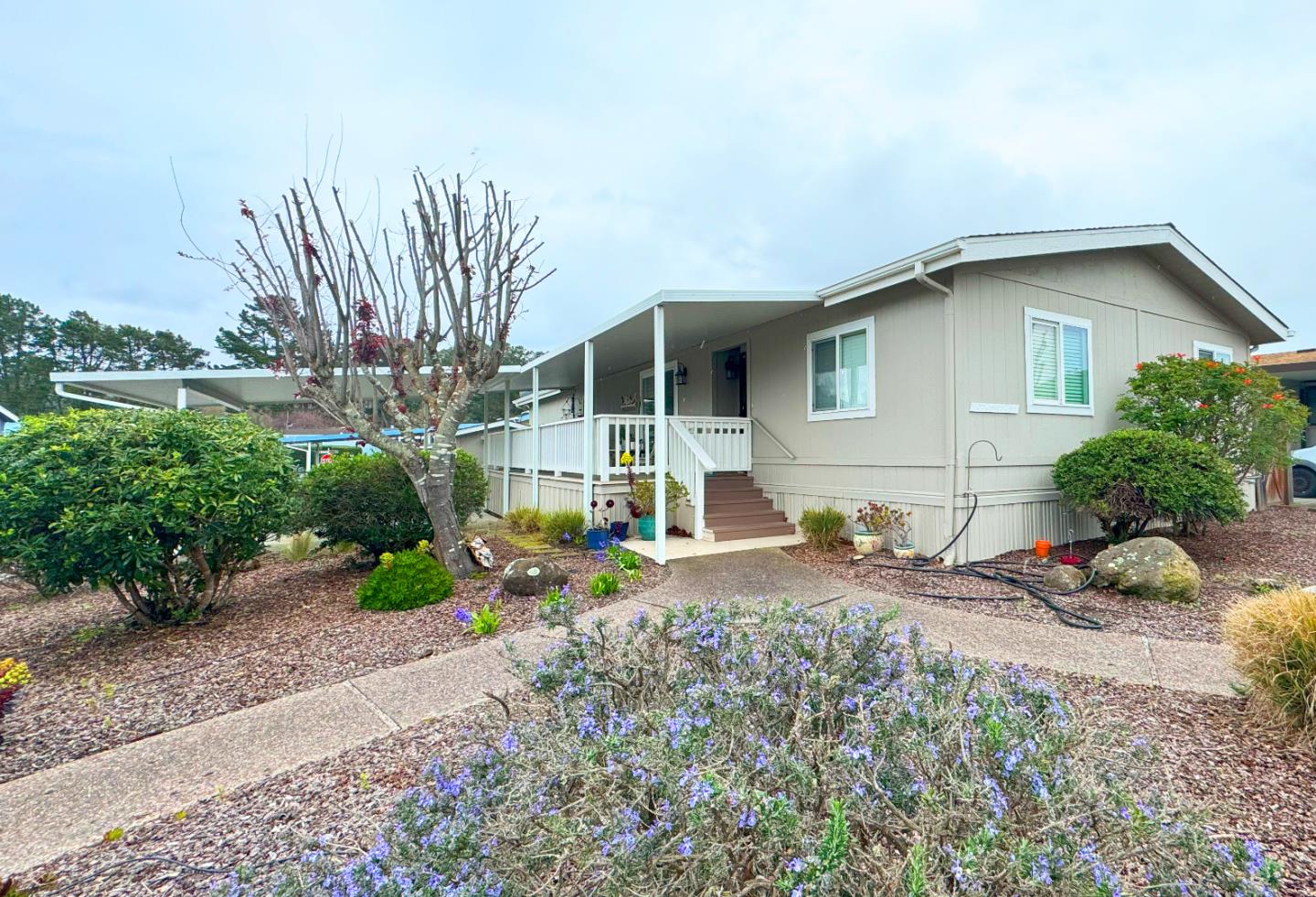 102 Canada Cove Ave 102, Half Moon Bay, CA 94019