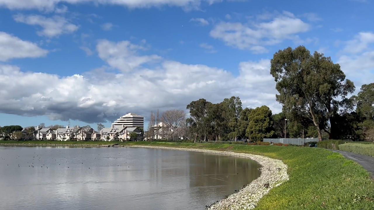 Detail Gallery Image 13 of 15 For 800 Sea Spray Ln #217,  Foster City,  CA 94404 - 1 Beds | 1 Baths