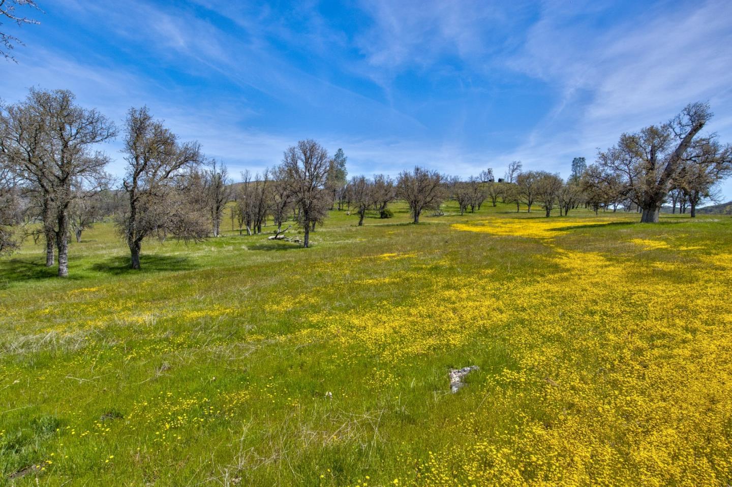 46400 San Antonio Valley, San Jose, California 95140, 3 Bedrooms Bedrooms, ,2 BathroomsBathrooms,Residential,For Sale,46400 San Antonio Valley,ML81956143