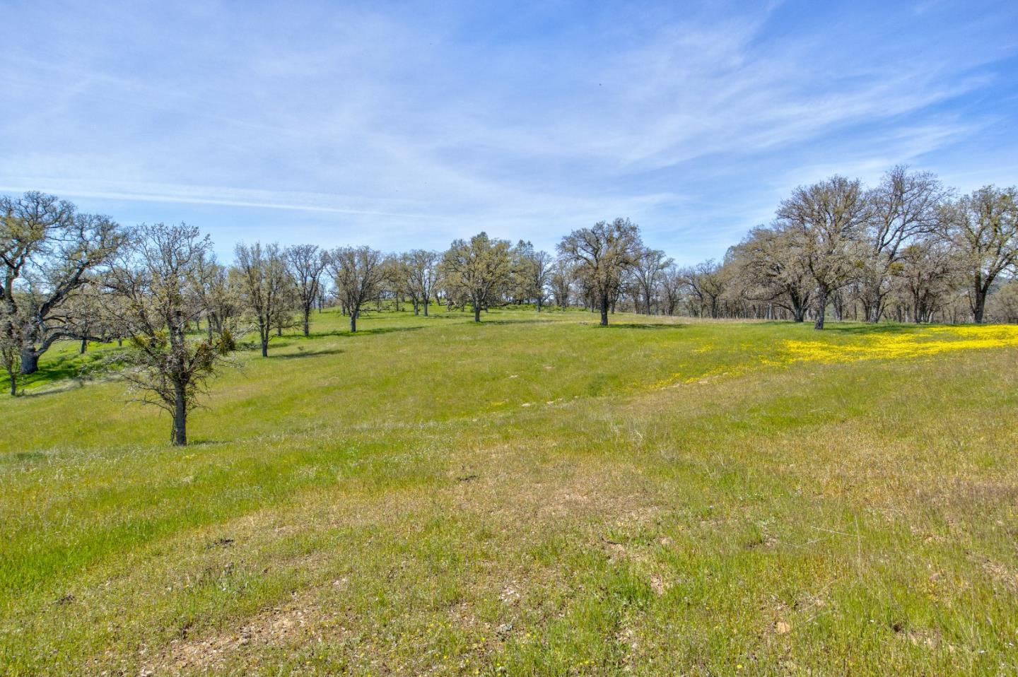 46400 San Antonio Valley, San Jose, California 95140, 3 Bedrooms Bedrooms, ,2 BathroomsBathrooms,Residential,For Sale,46400 San Antonio Valley,ML81956143