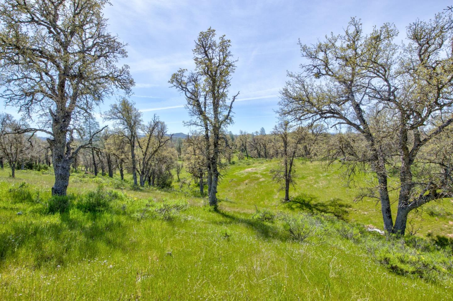 Detail Gallery Image 34 of 35 For 46400 San Antonio Valley, San Jose,  CA 95140 - 3 Beds | 2 Baths