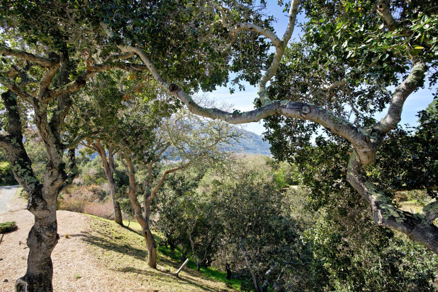 Detail Gallery Image 28 of 28 For 11 De Amaral Rd, Carmel Valley,  CA 93924 - 3 Beds | 2 Baths