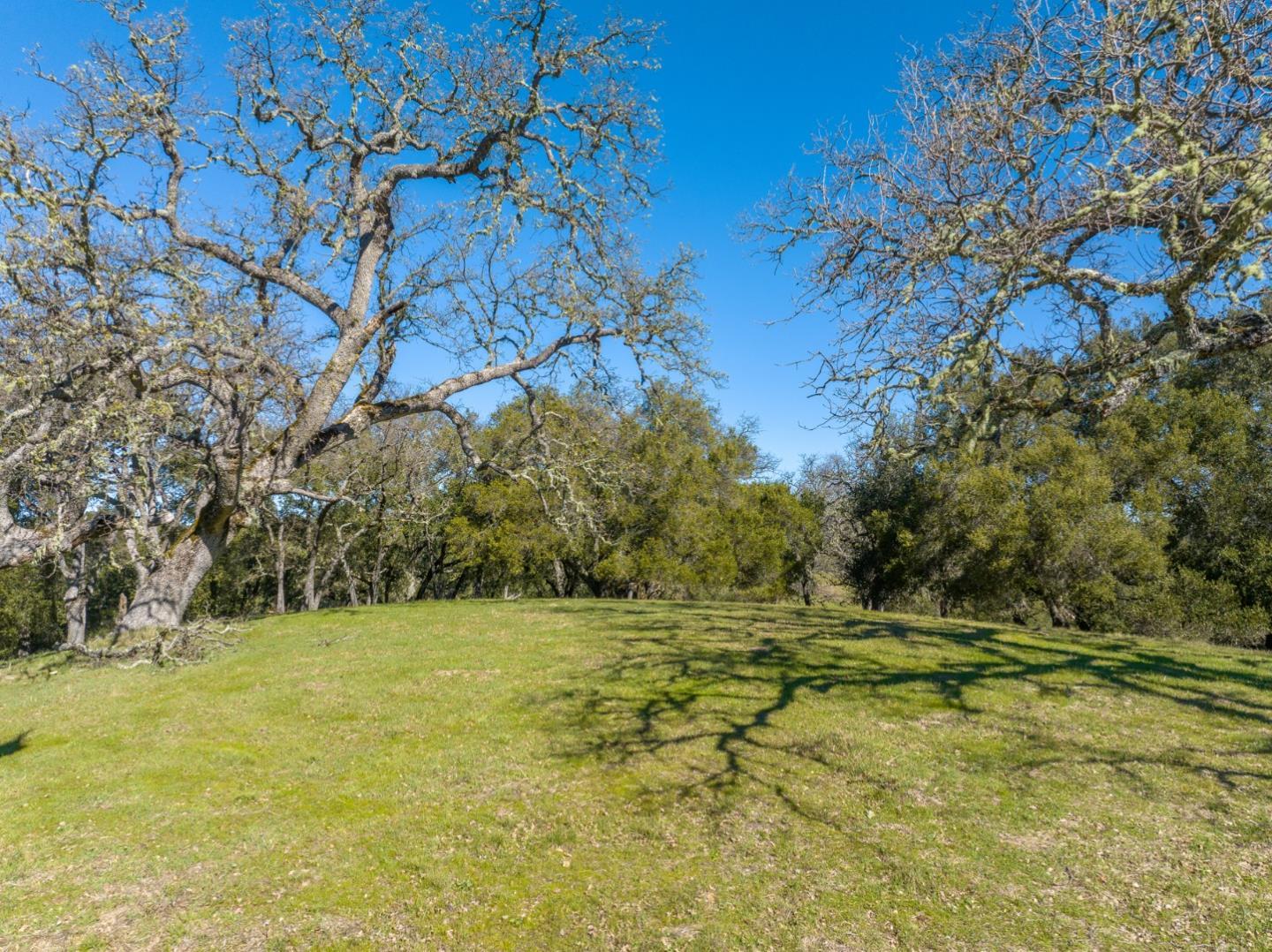 25 Arroyo Sequoia (Lot 108), Carmel, California 93923, ,Land,For Sale,25 Arroyo Sequoia (Lot 108),ML81956396