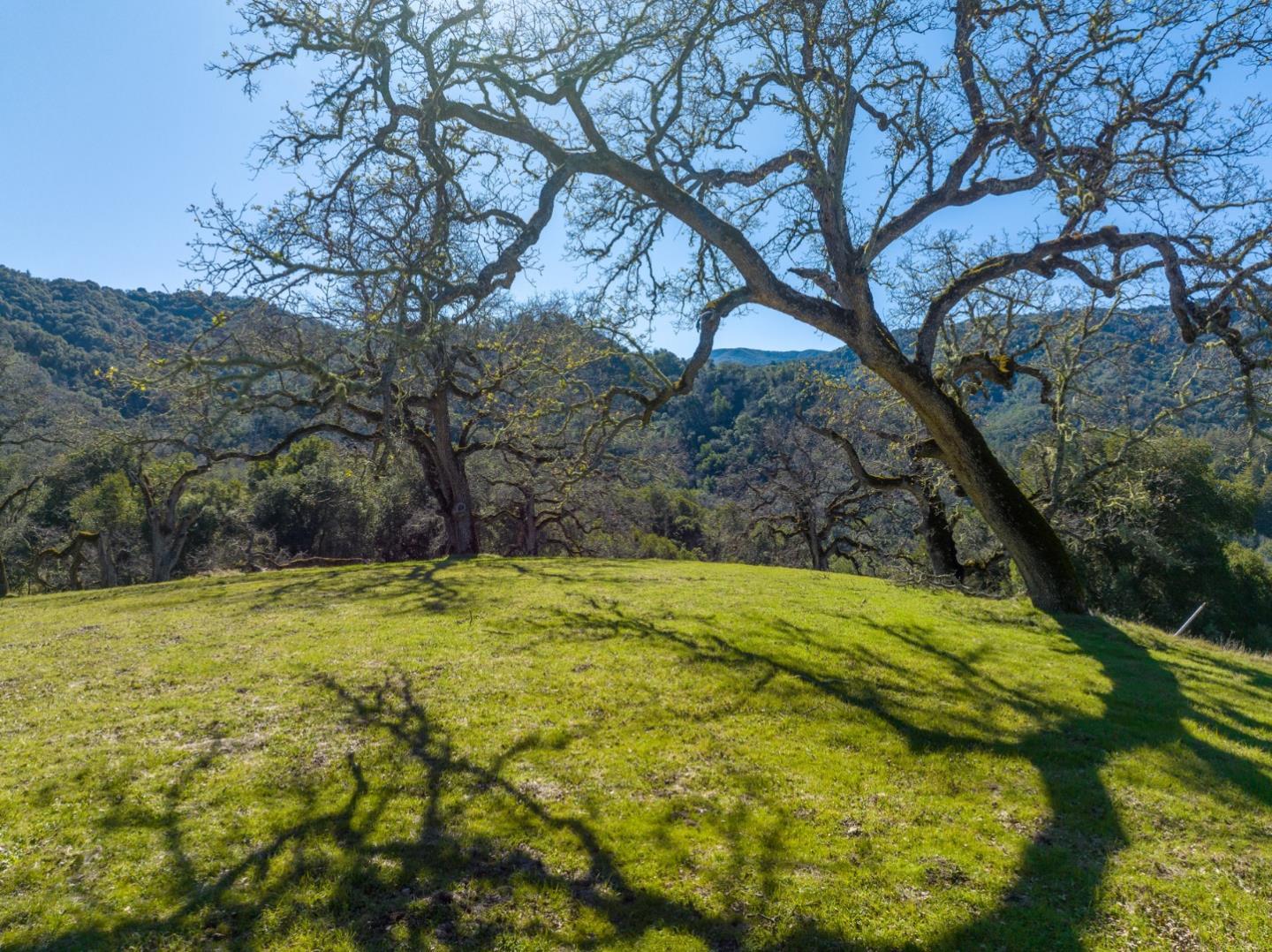 Detail Gallery Image 15 of 23 For 25 Arroyo Sequoia (Lot 108), Carmel,  CA 93923 - – Beds | – Baths