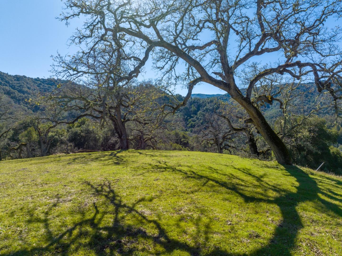 25 Arroyo Sequoia (Lot 108), Carmel, California 93923, ,Land,For Sale,25 Arroyo Sequoia (Lot 108),ML81956396