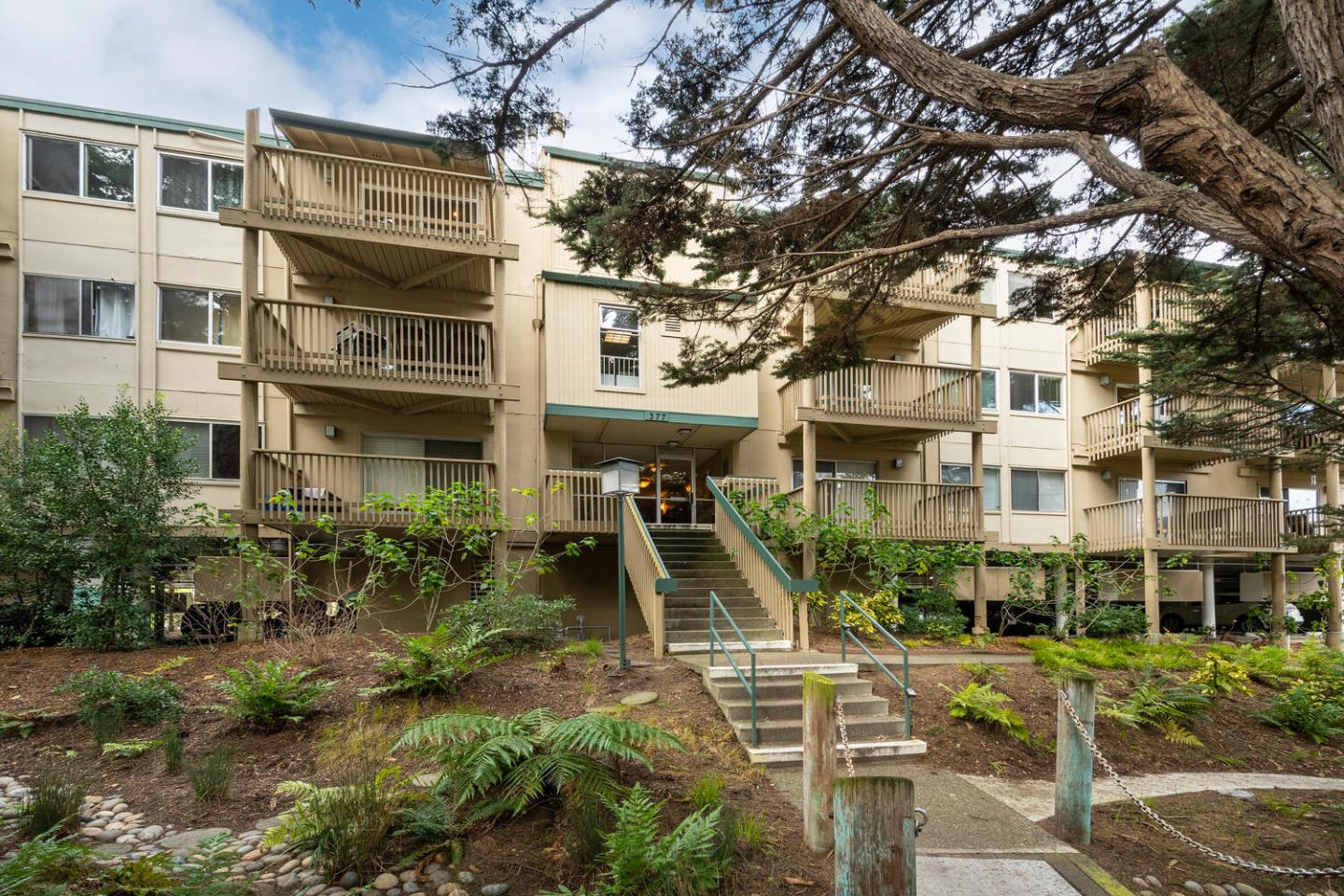 Detail Gallery Image 2 of 16 For 377 Mandarin Dr #104,  Daly City,  CA 94015 - 1 Beds | 1 Baths
