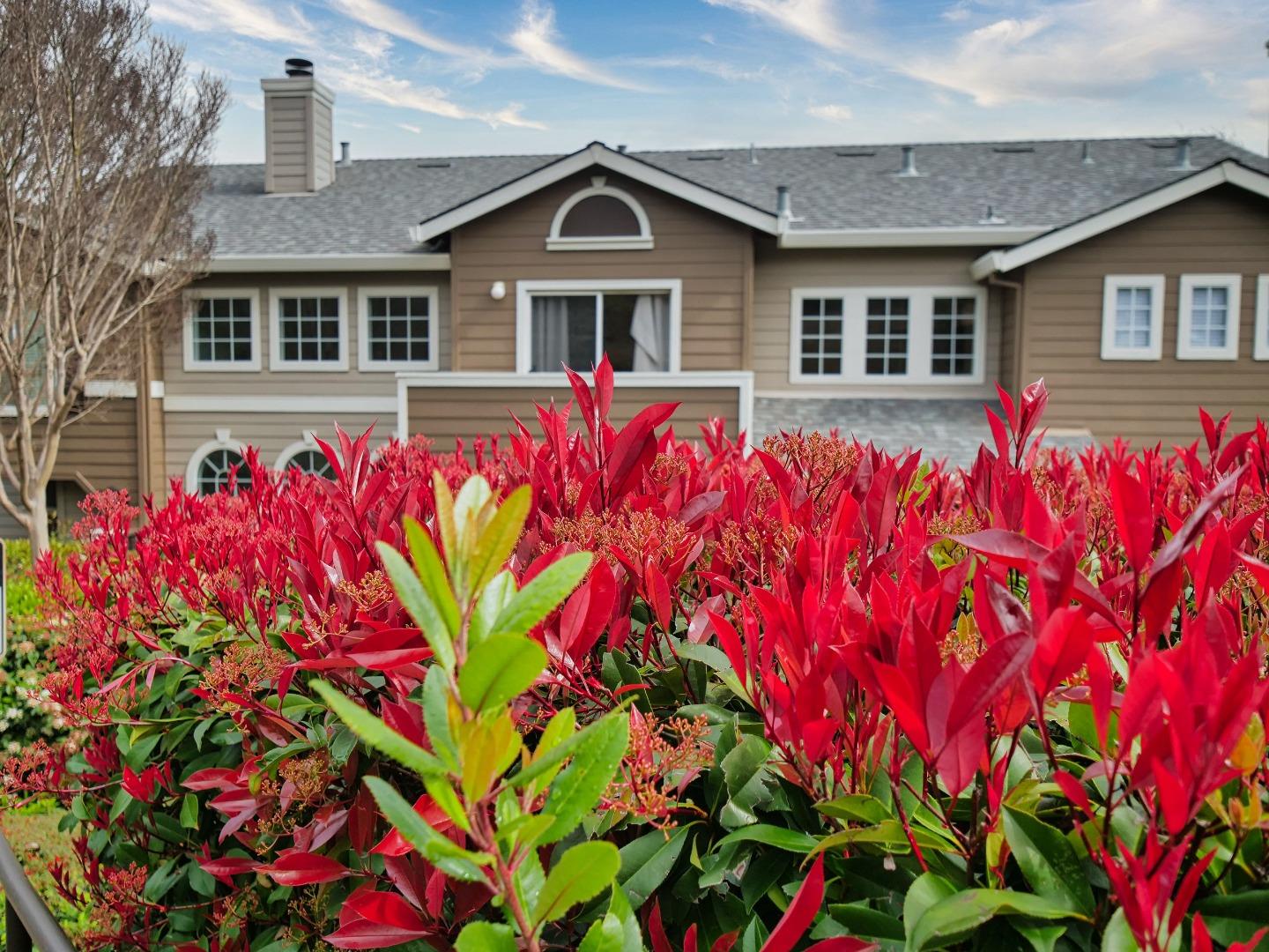 Detail Gallery Image 9 of 180 For 1302 Dawn Ct, San Ramon,  CA 94583 - 2 Beds | 2 Baths