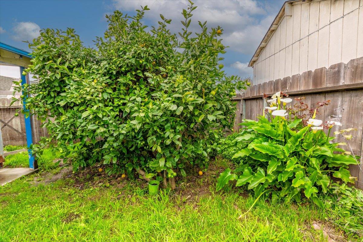 741 Saint Michael Way