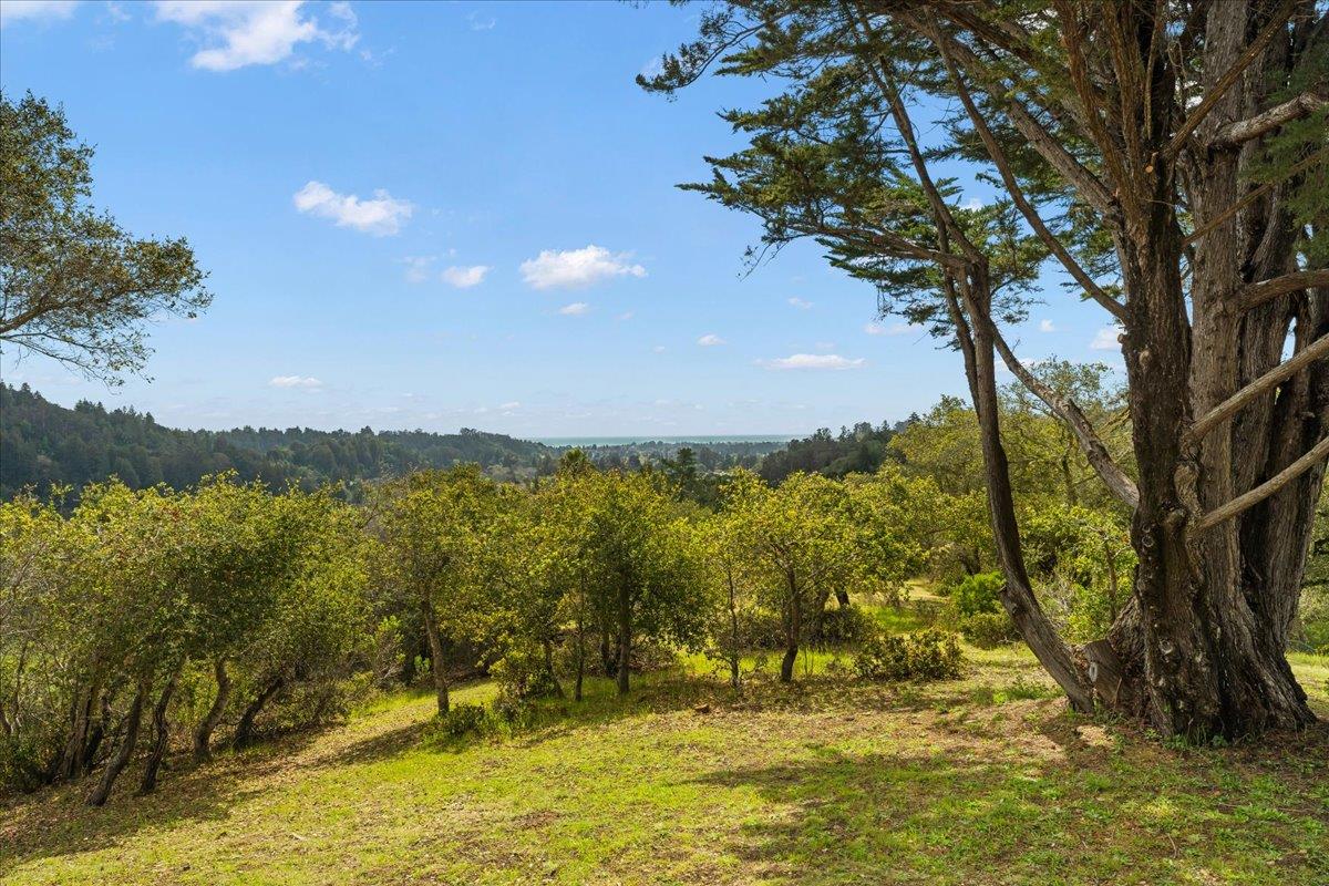 Detail Gallery Image 39 of 57 For 300 Los Robles Rd, Soquel,  CA 95073 - 3 Beds | 2/1 Baths
