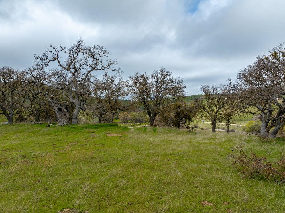 Detail Gallery Image 21 of 54 For 35.8 Acres Panoche Rd, Paicines,  CA 95043 - – Beds | – Baths