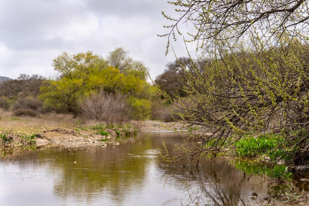 Detail Gallery Image 59 of 59 For 35.8 Acres Panoche Rd, Paicines,  CA 95043 - – Beds | – Baths