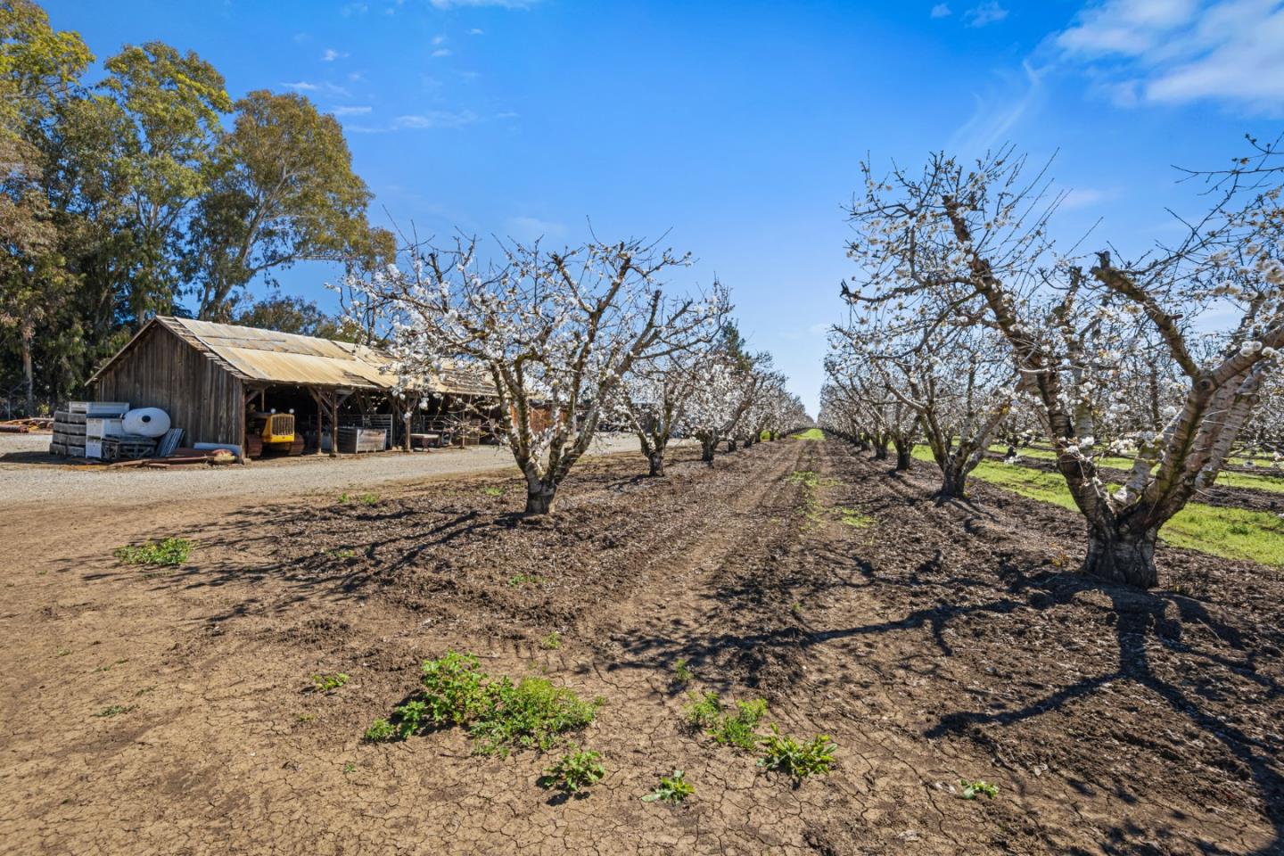 Detail Gallery Image 32 of 46 For 1930 Pacheco Pass Hwy, Gilroy,  CA 95020 - – Beds | – Baths