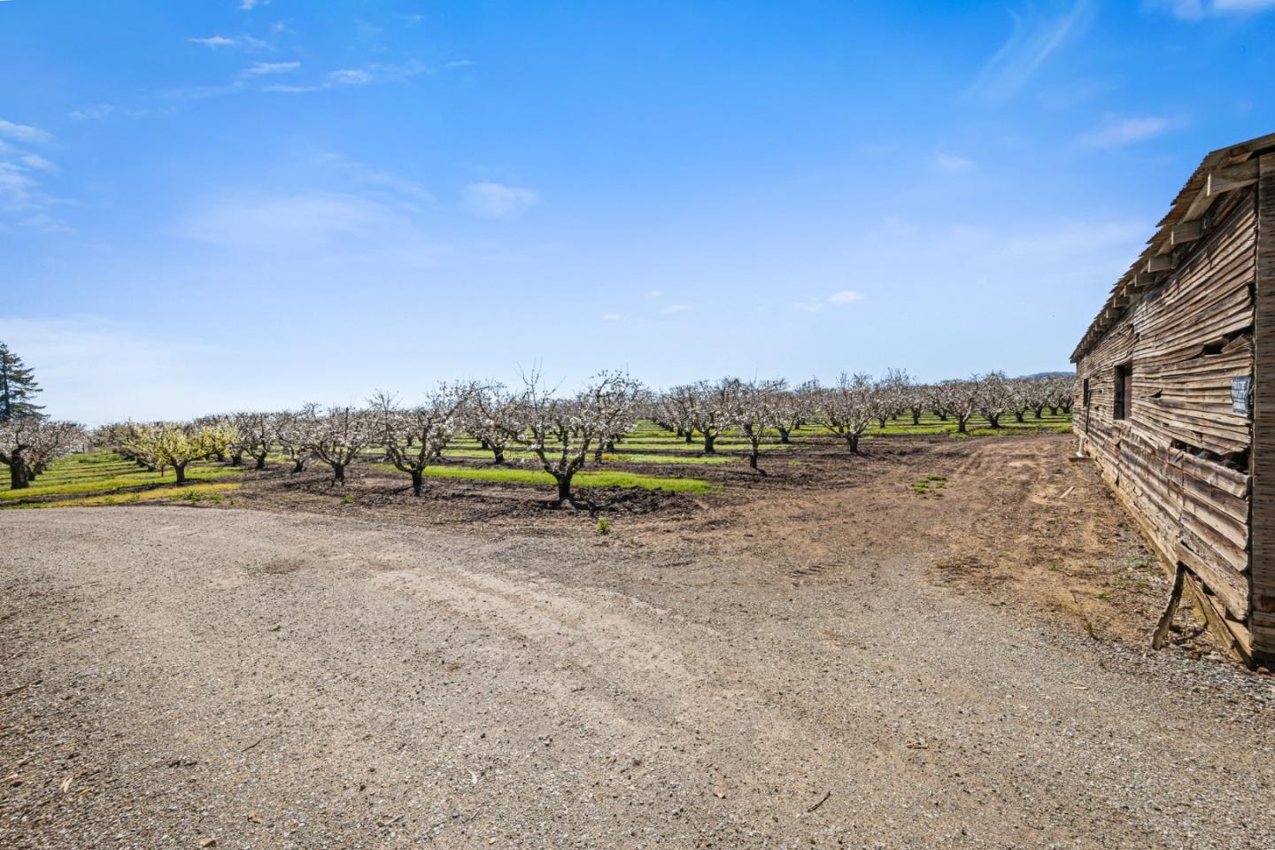 Detail Gallery Image 38 of 46 For 1930 Pacheco Pass Hwy, Gilroy,  CA 95020 - – Beds | – Baths