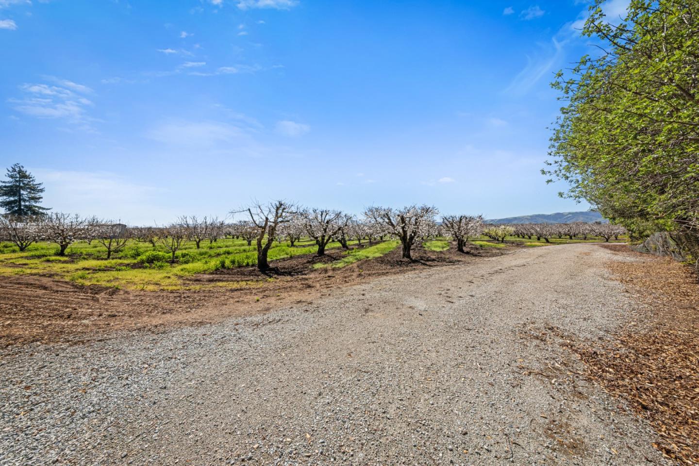 Detail Gallery Image 6 of 46 For 1930 Pacheco Pass Hwy, Gilroy,  CA 95020 - – Beds | – Baths