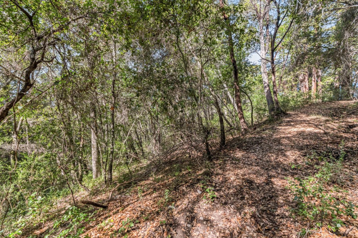 Lot 08 Madrone Ave  