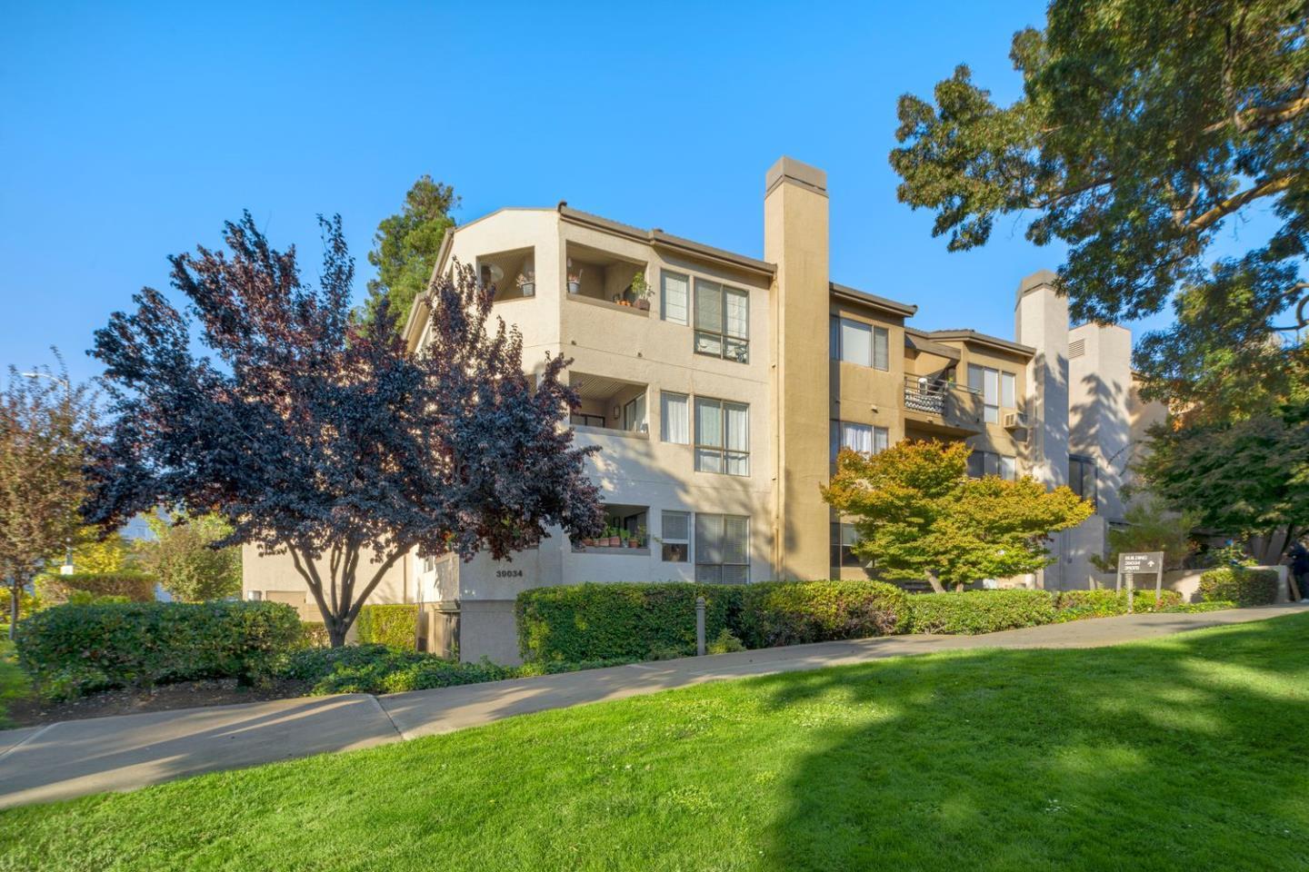 Detail Gallery Image 1 of 1 For 39034 Guardino Dr #105,  Fremont,  CA 94538 - 1 Beds | 1 Baths