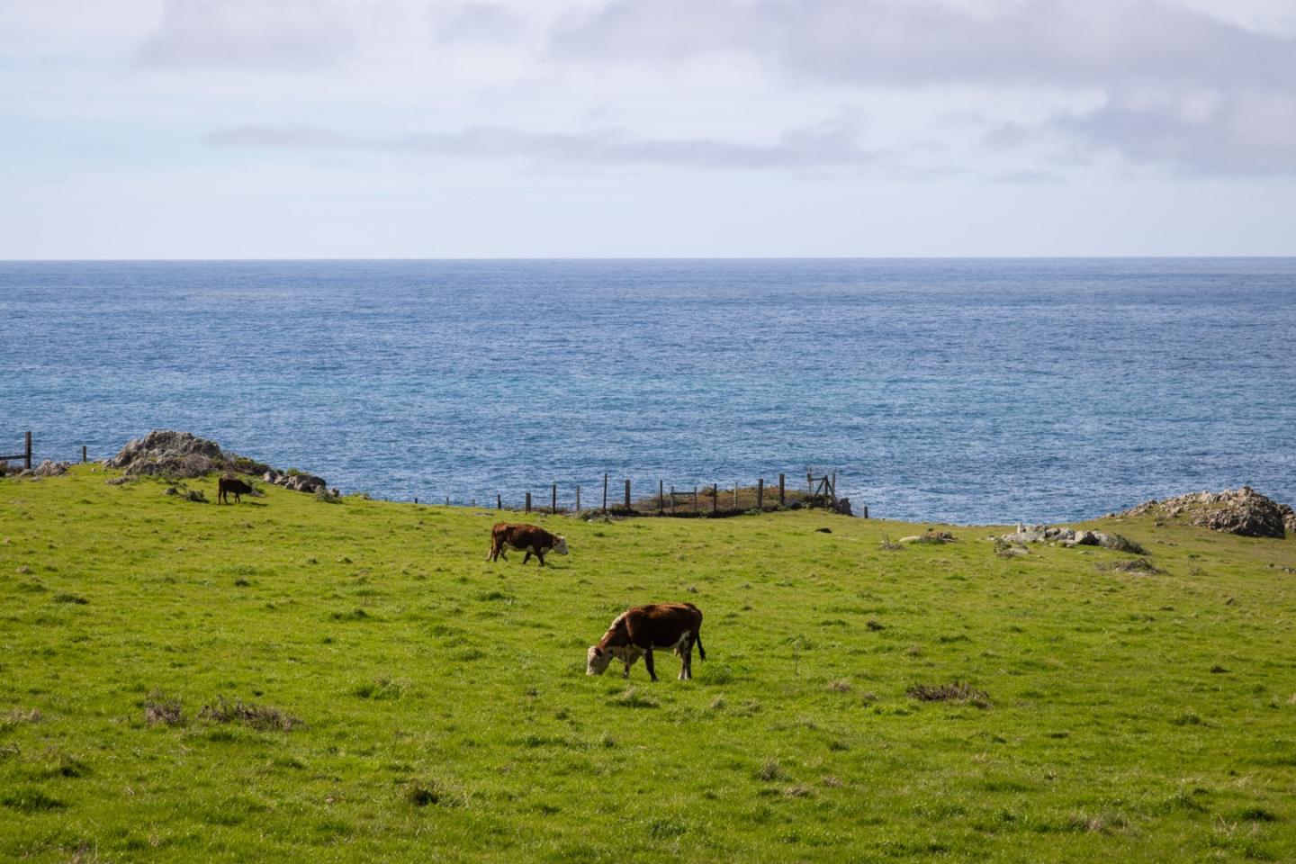 37305 Highway 1, Carmel, CA, 93923