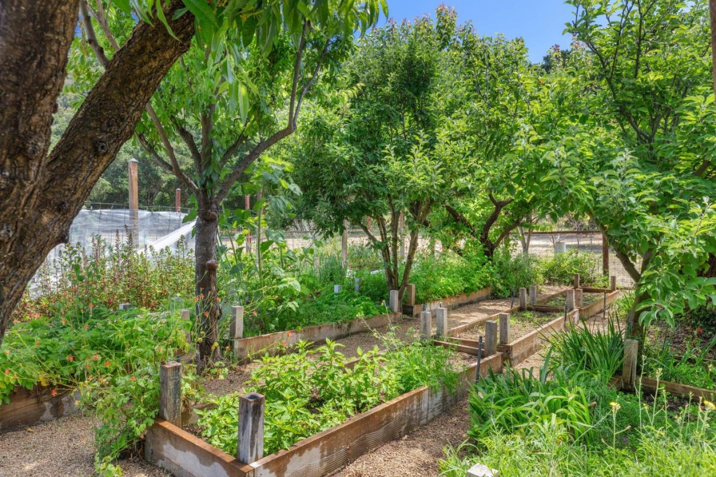 Detail Gallery Image 40 of 50 For 33732 E Carmel Valley Rd, Carmel Valley,  CA 93924 - 4 Beds | 4/1 Baths