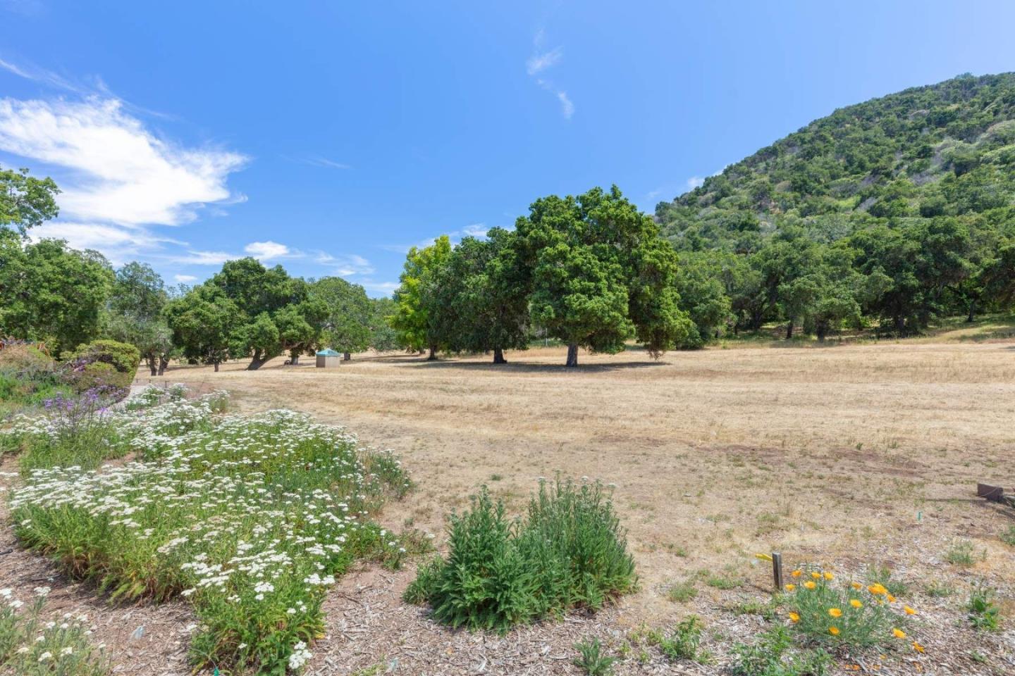 Detail Gallery Image 44 of 50 For 33732 E Carmel Valley Rd, Carmel Valley,  CA 93924 - 4 Beds | 4/1 Baths