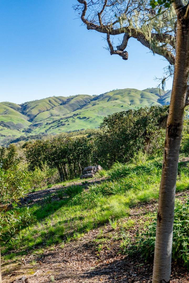 Detail Gallery Image 49 of 50 For 33732 E Carmel Valley Rd, Carmel Valley,  CA 93924 - 4 Beds | 4/1 Baths