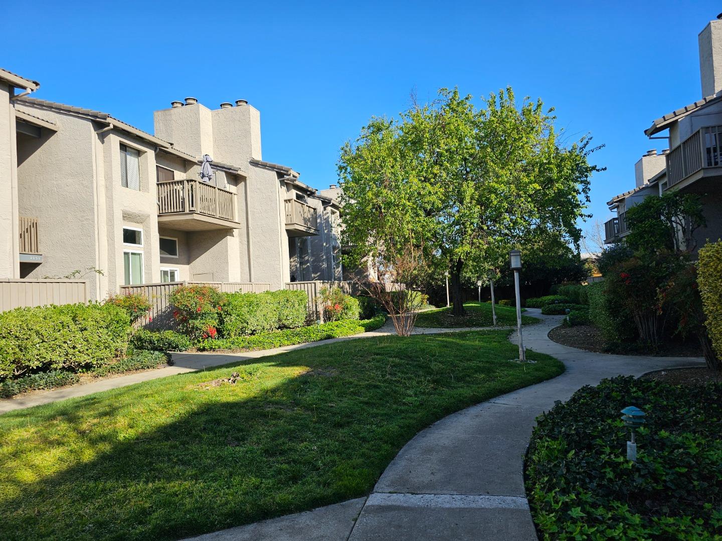 Browse active condo listings in ALMADEN VALLEY