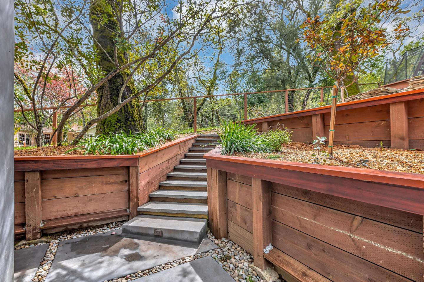 Detail Gallery Image 65 of 73 For 241 Bonita Rd, Portola Valley,  CA 94028 - 3 Beds | 3/1 Baths