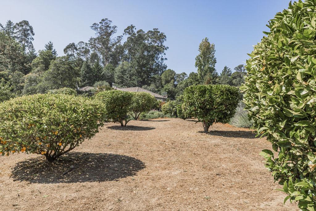 Detail Gallery Image 21 of 93 For 2947 Pleasant Valley Rd, Aptos,  CA 95003 - 3 Beds | 2 Baths