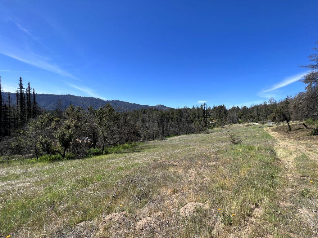 1100 Kings Hwy, Boulder Creek, CA 95006