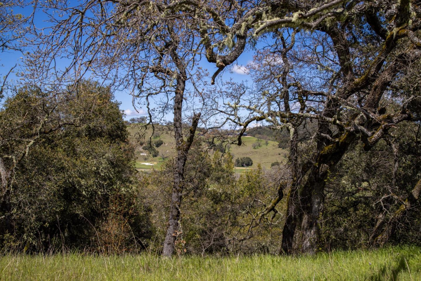 Detail Gallery Image 15 of 19 For 29 Arroyo Sequoia, Carmel,  CA 93923 - – Beds | – Baths