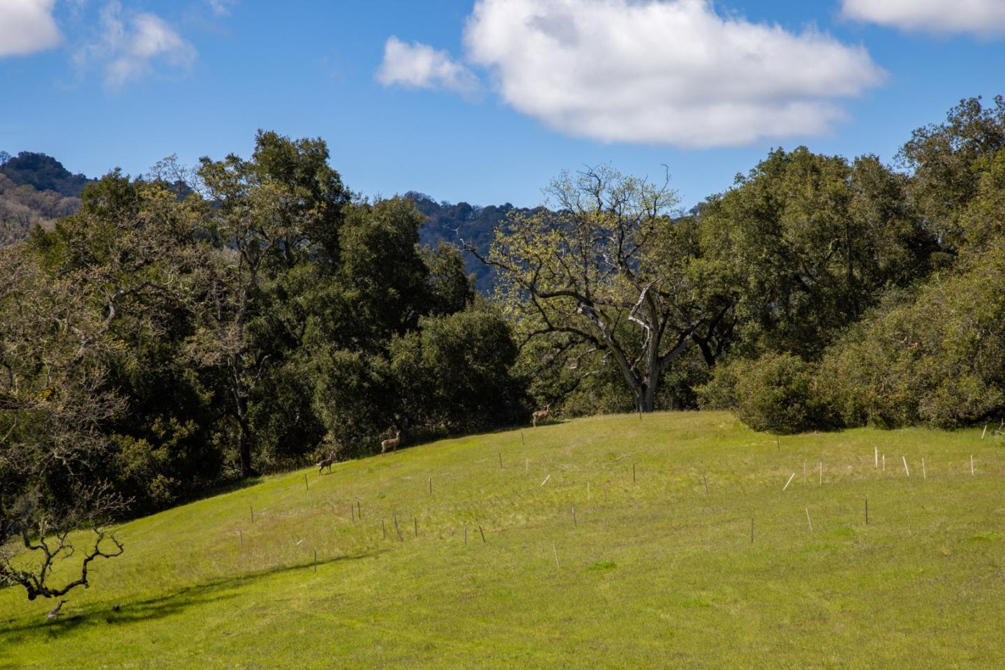 Detail Gallery Image 16 of 19 For 29 Arroyo Sequoia, Carmel,  CA 93923 - – Beds | – Baths